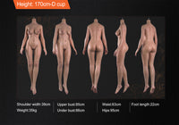 Fanreal 170cm D Cup Silicone Sex Doll Vanessa Fair ROS