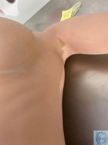 Funwest FS Series 168 D Cup Full Silicone Sex Doll Lexie with Real Skin Texture Funwest