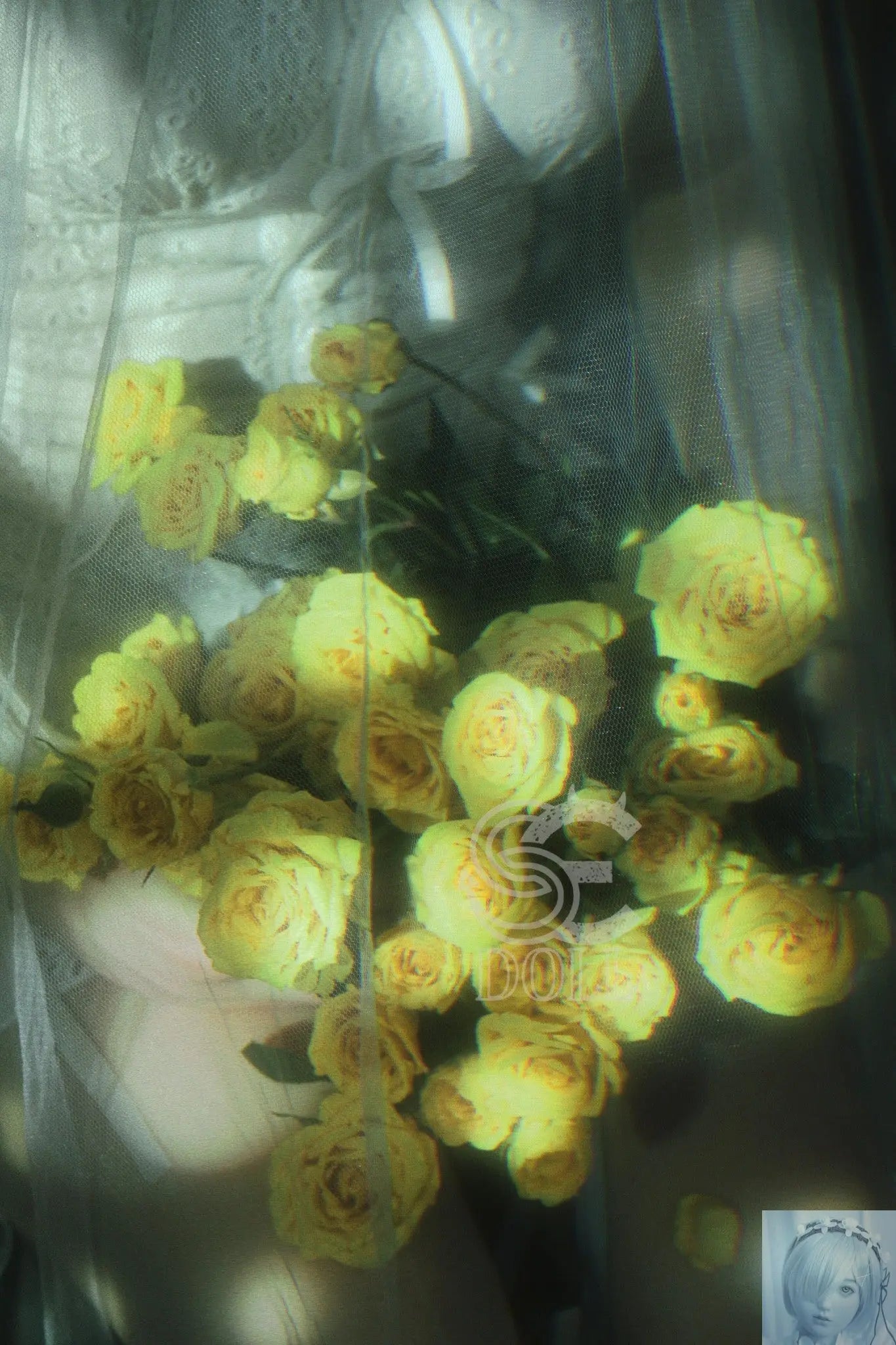 SE Doll Pro Silicone Series 163 C Cup Annika.H lovedollsenpai