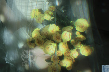 SE Doll Pro Silicone Series 163 C Cup Annika.H lovedollsenpai