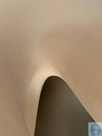 USA IN STOCK Funwest TPE 155cm F Cup Sex Doll Darlene Funwest